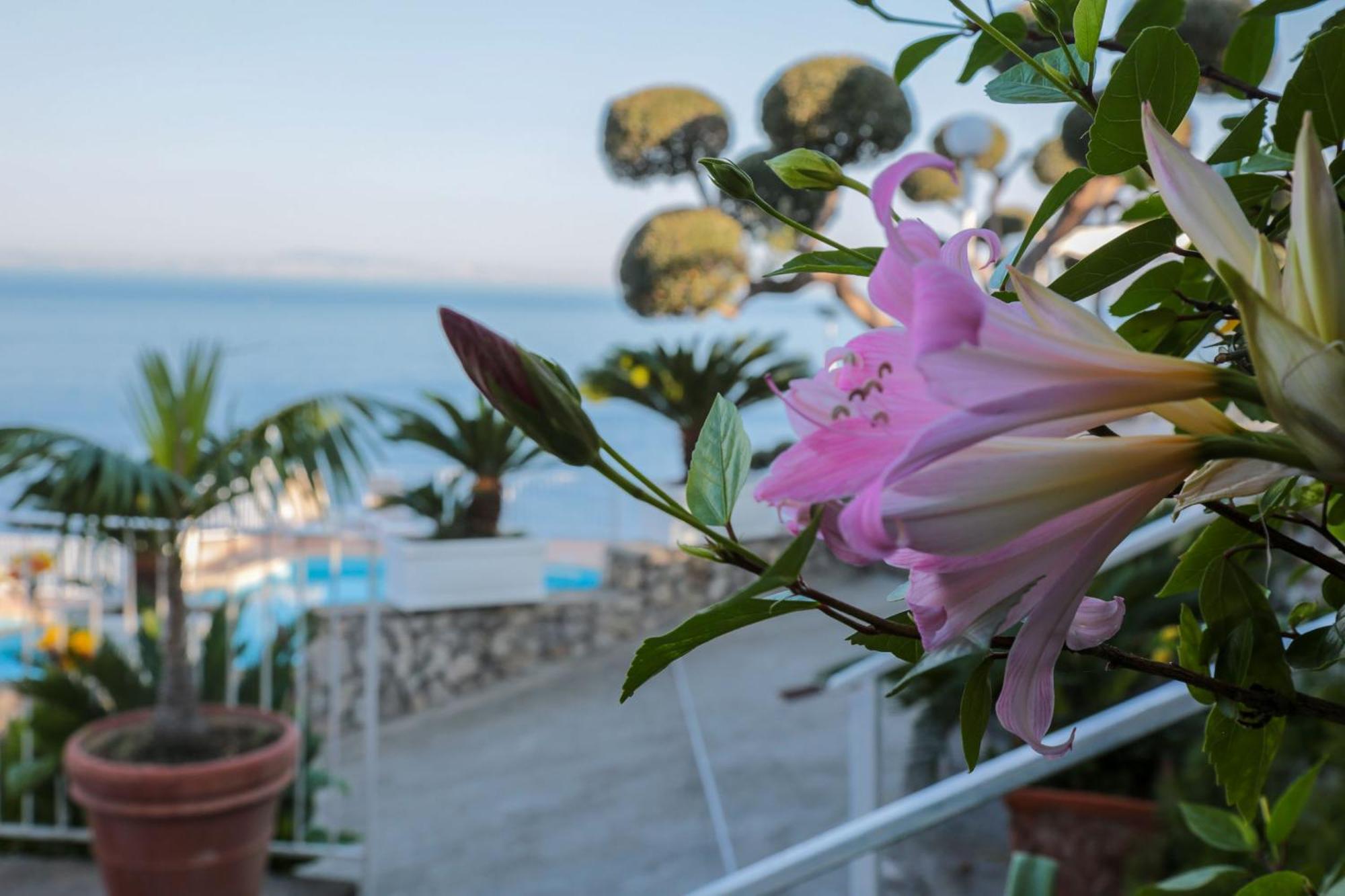 Hotel Villa Lubrense Sorrento Massa Lubrense Exteriör bild